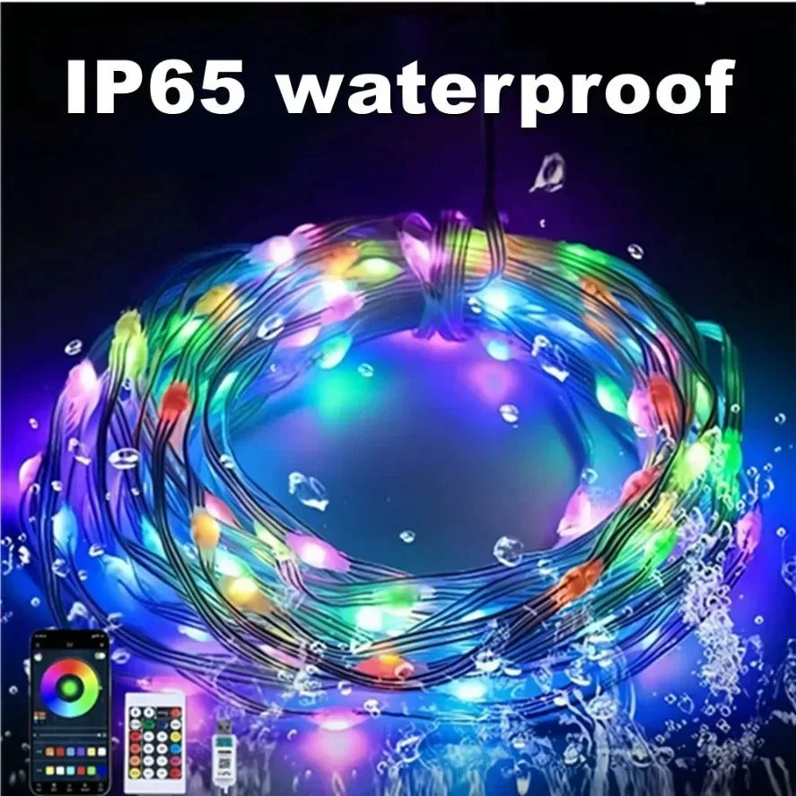 5~20m WS2812B RGB LED 전구 스트링 조 - Ws2812B 리뷰 및 가격